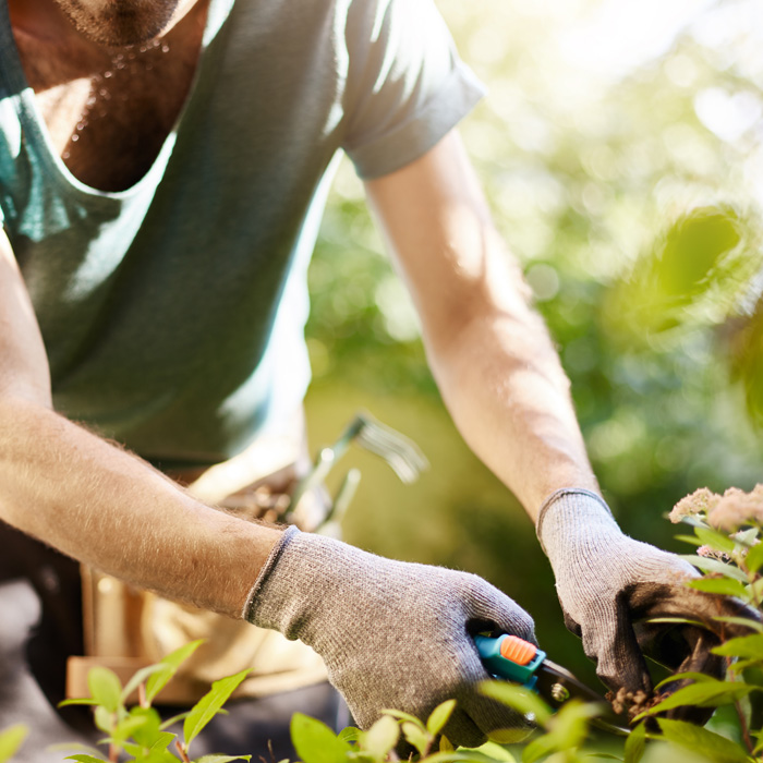 Empresa de jardinería Pamplona